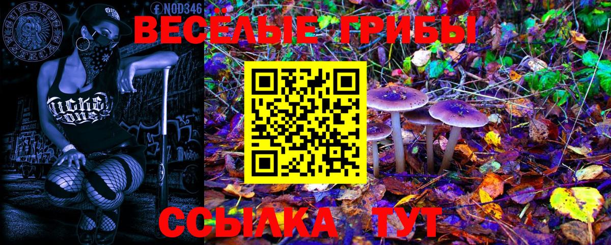 Псилоцибиновые грибы GOLDEN TEACHER Биробиджан